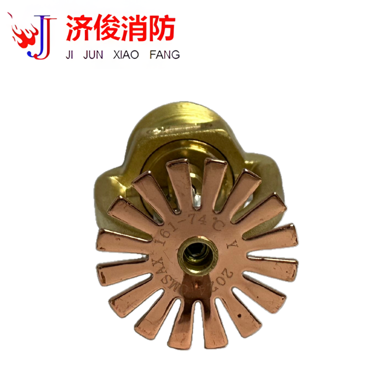 济俊 特殊应用喷头 仓库型 CMSAX 161-74℃ Y DN20高清大图