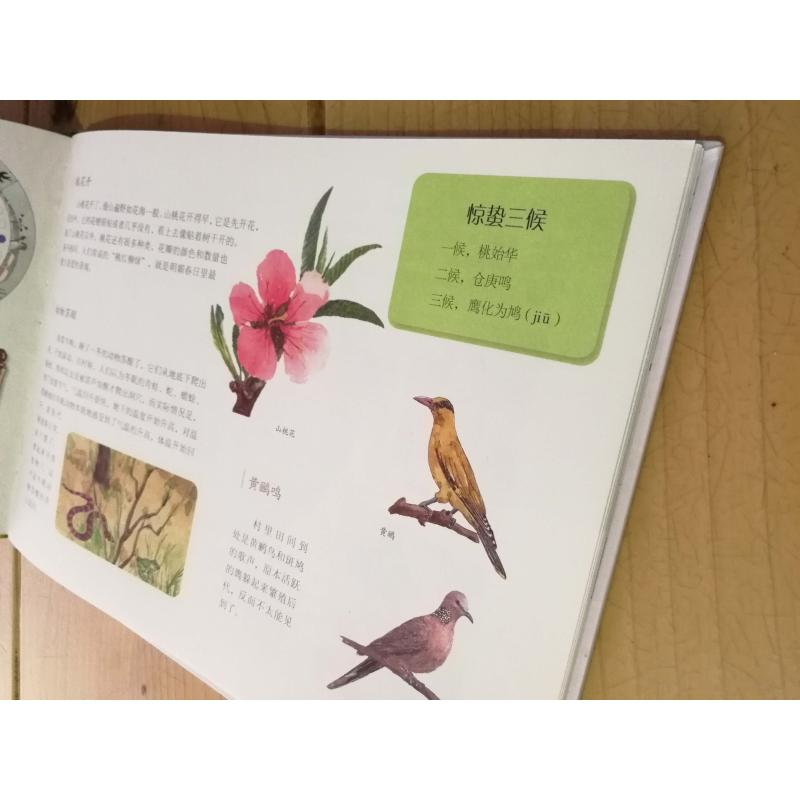 醉染图书这就是二十四节气(升级版)(全5册)9787511047595高清大图