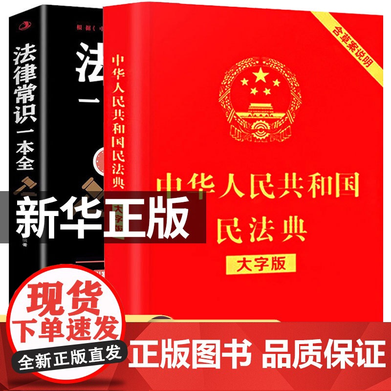 【正版】全套2册 民法典入门正版+法律常识一本全通 中国民法典理解与适用大全全套普及相关司法解释汇编法律书籍民法典注释本