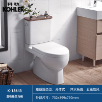 科勒瑞琦家用马桶座厕五级旋风静音缓降智纳版分体座便器18643