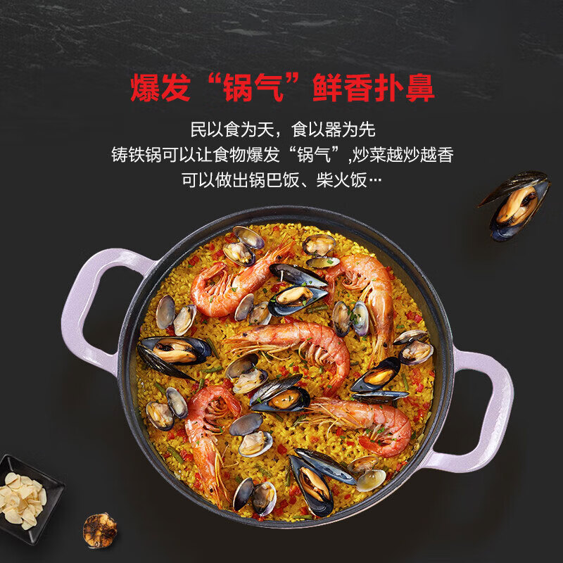 Fissler菲仕乐食色系列20厘米铸铁锅 EMP-C202N002R高清大图
