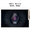 HUAWEI WATCH 5 42mm高端款烁金色904L不锈钢表壳晨曦金钛金属表带 X-TAP智感窗鸿蒙腕上小艺eSIM通信