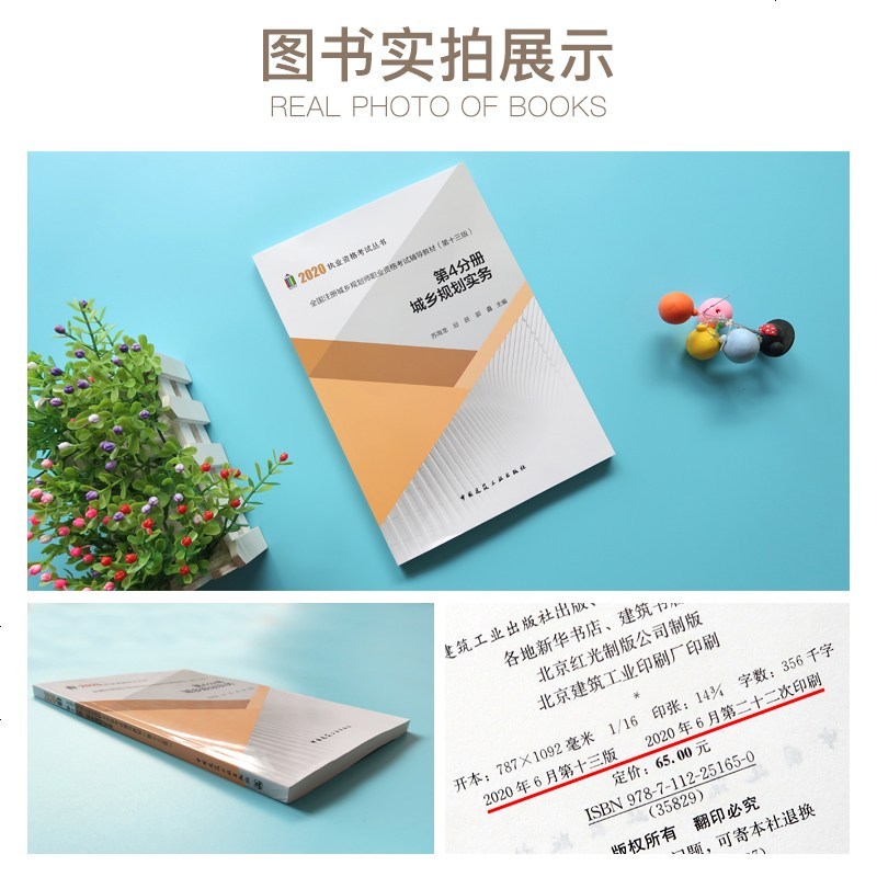 2020年全国注册城乡规划师职业资格考试教材(第十三版) 第4分册 第四分册 城乡规划实务 注册城市规划师