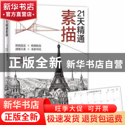 正版 21天精通素描 (英)理查德·波克斯等著 百花洲文艺出版社 978