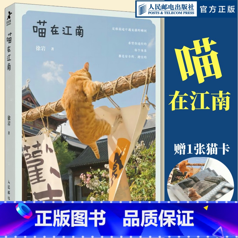 喵在江南 [正版]出版社喵在江南 徐岩猫咪摄影集写真随笔可爱宠物街猫拍摄照片相册萌趣猫猫照片喵星人摄影画册创意礼物高清大图