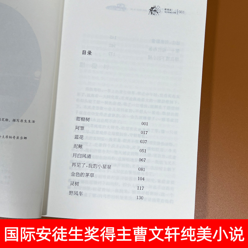 野风车 [正版]野风车全套曹文轩纯美小说系列 初中小学生课外阅读书籍三四五六年级经典书目江苏凤凰少年儿童出版社安徒生儿童