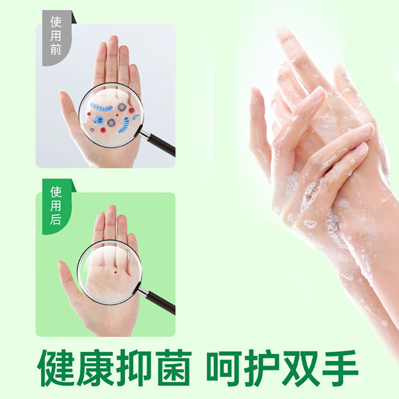 滴露(Dettol)洗手液经典松木500g*2高清大图