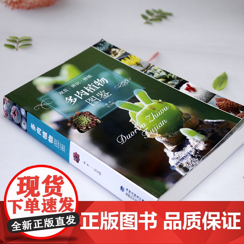多肉植物图鉴(观赏·辨识·种植)常见多肉多浆植物园艺图集零基础养多肉这样养养护完全图鉴书籍高清大图