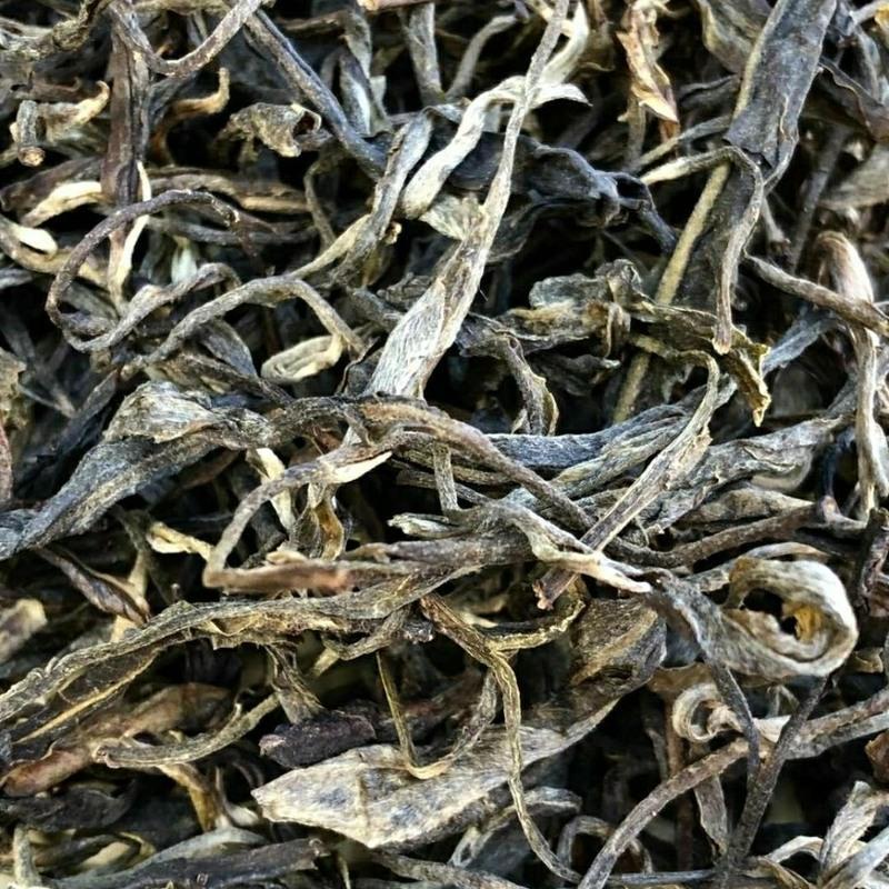 普洱茶生茶散茶叶云南邦东乔木普洱茶袋装普洱散茶买一斤送半斤尝鲜装