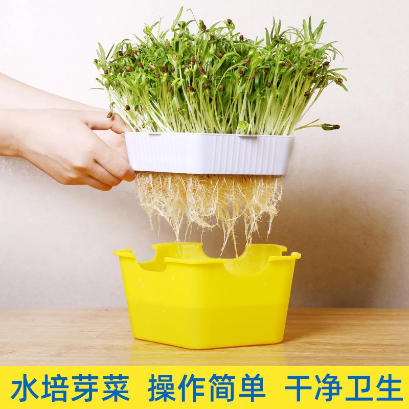 悦芳华无土栽培水培蔬菜设备豆芽育苗盘发芽盆芽苗菜种植豆苗纸上种菜盘参数配置 规格 性能 功能 苏宁易购
