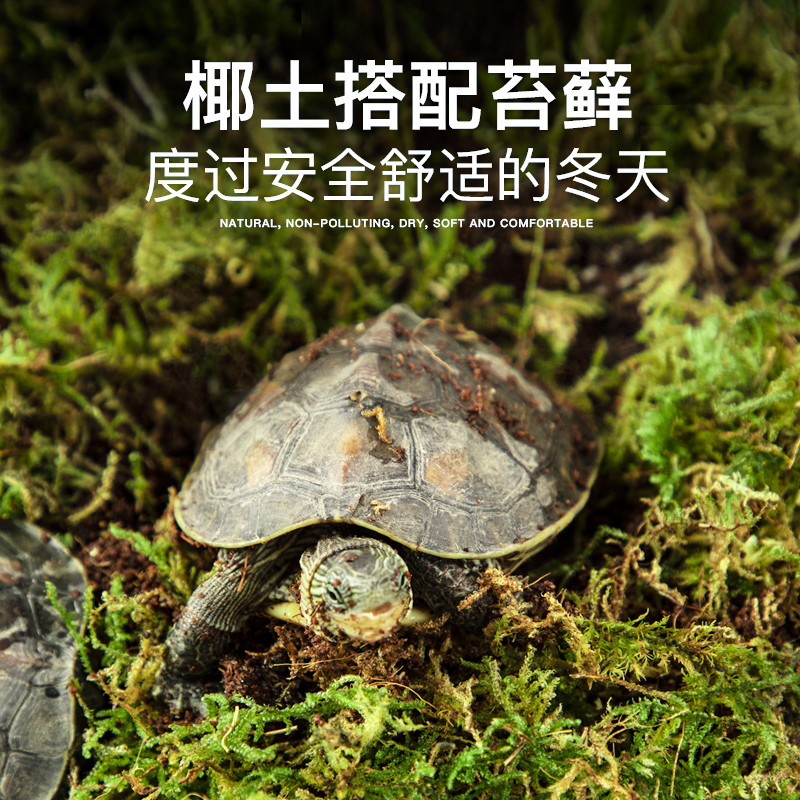 乌龟椰砖爬宠无菌家用营养椰土苔藓乌龟冬眠角蛙蜥蜴守宫爬虫垫材高清大图