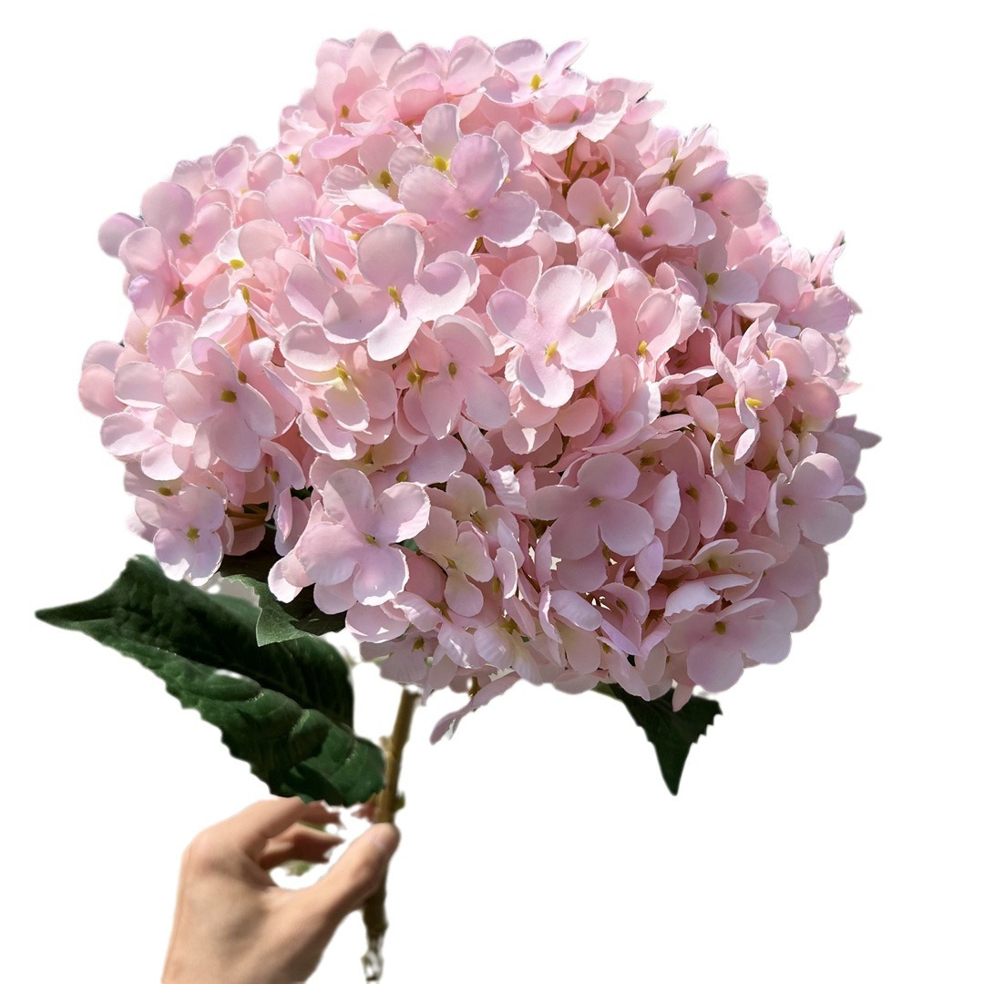 小窝厘 高仿真大绣球花特大单头莱茵绣球假花装饰 单个花头直径30cm 天蓝高清大图
