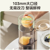 美的(Midea)原汁机榨汁机MJ-ZZ12W7-002大口径无滤网整果直接榨软硬果蔬可榨果汁机多功能