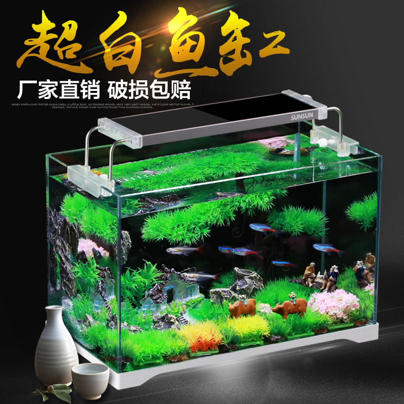 鱼缸小型超白玻璃热带水族箱长方形生态水缸中型客厅金鱼缸高清大图