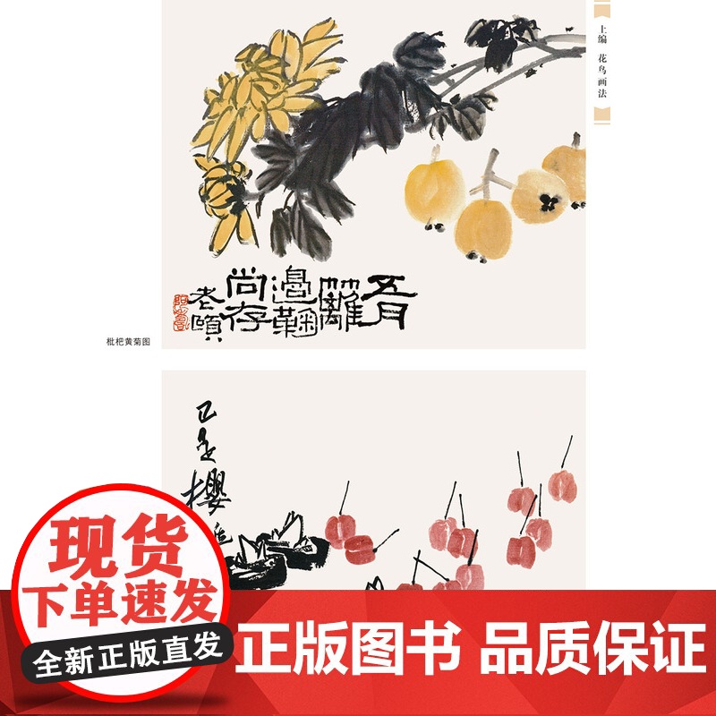 潘天寿写意花鸟画要义 中国水墨写意花鸟国画画法技法构图教学 潘天寿花鸟画册画集临摹鉴赏指头画谈国画技法教程书名家讲稿系列高清大图