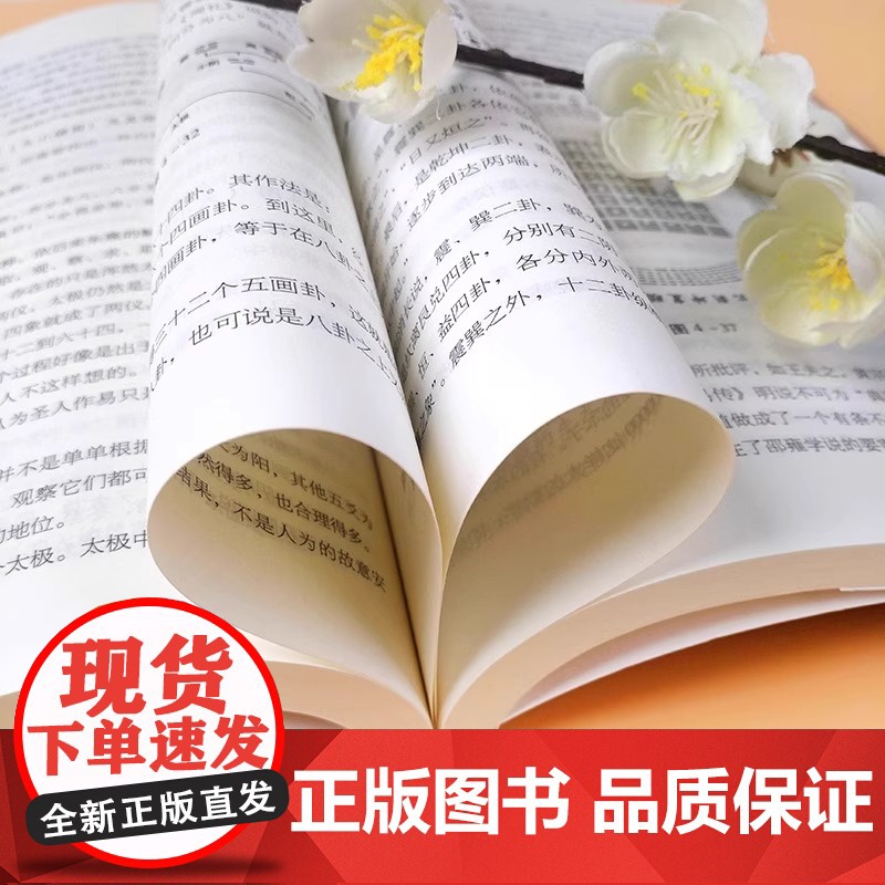 易学基础教程 朱伯崑易经经典国学周易知识系统中华民族传统文化书籍图书 学周易入门图书 初学周易图书周易大全书 易学理论书高清大图