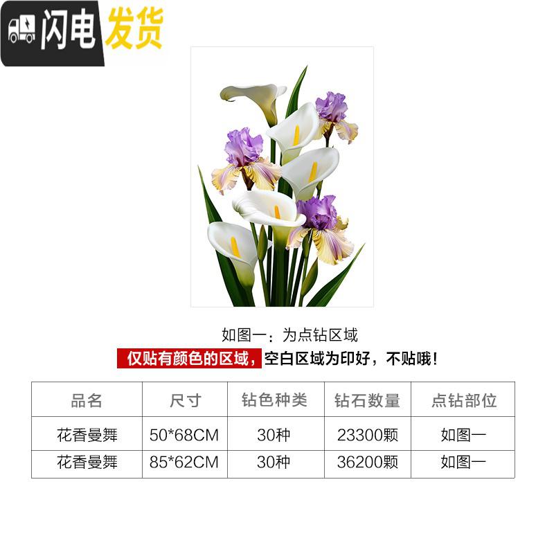三维工匠钻石绣2019年新款5d钻石画十字绣贴钻卧室满钻带 [画+框]满钻50*68厘米[多配30钻量][送两套点钻工高清大图