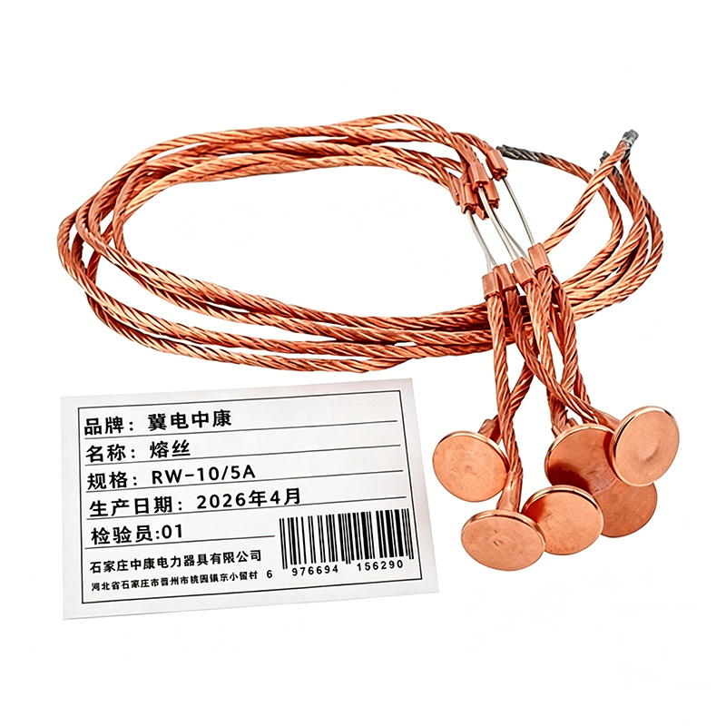 冀电中康 熔丝 RW-10/5A 根高清大图