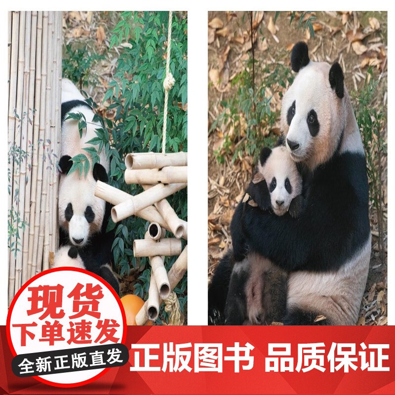 [赠藏书票+贴纸]福宝 姜哲远等著 记录福宝0-1岁 大熊猫写真 福宝写真简体中文版 新增10张未公开大图 摄影艺术高清大图