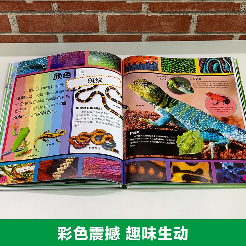[DK探索百科]气象密码 [正版]DK动物百科全书世界两栖与爬行动物图鉴了解身体构造生活习性引人入胜的真相和故事书科普类