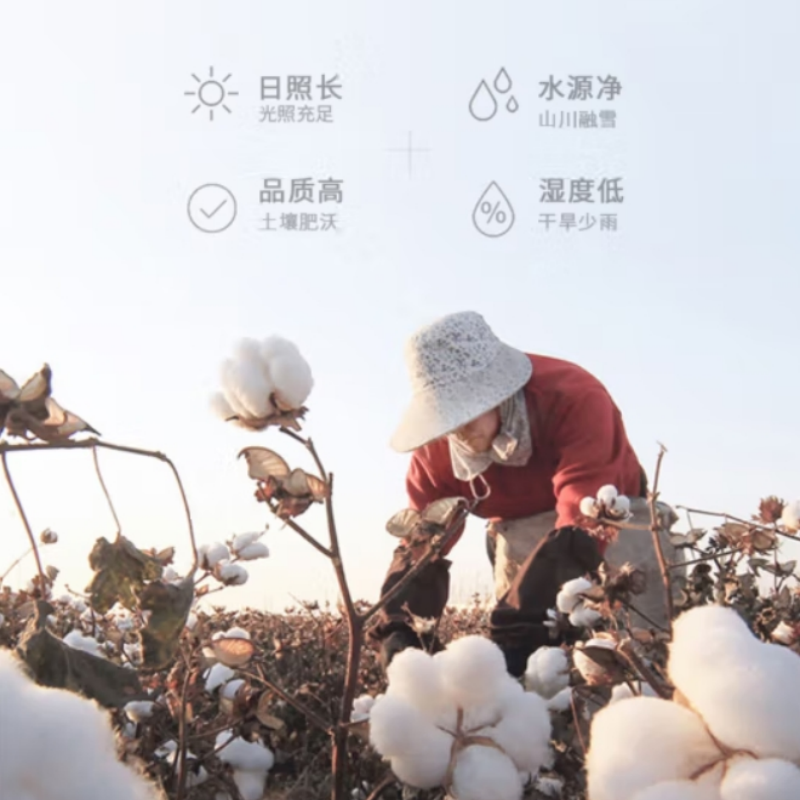 世纪金鹰 新疆棉提花断档毛巾 34*74cm 1盒