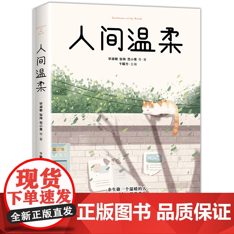 正版新书 人间温柔:余生做一个温暖的人 毕淑敏张炜等国内31位散文大家联合写就 人民文学阅读 文学散文随笔 名家作品