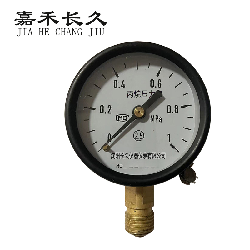 嘉禾长久丙烷压力表y60块视频
