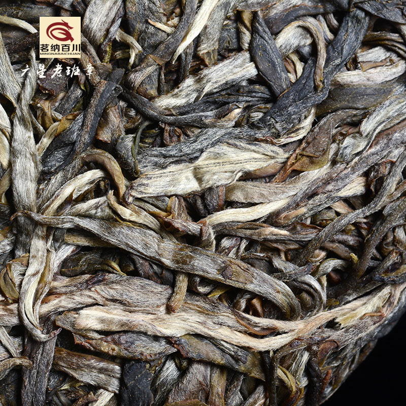云南普洱茶 生茶 茶饼500年古树普洱茶 2018年六星老班章357克