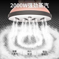 海尔(Haier)挂烫机HGS-2510B 香槟金 家用蒸汽电熨斗 大功率小型立式手持 迷你熨烫衣服