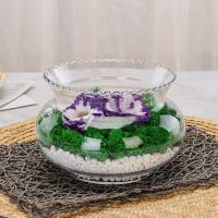 玻璃花瓶花盆水培花卉盆栽绿植玻璃水养花瓶水仙碗莲铜线草花盆 肚径16厘米花边小号