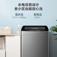 小天鹅10公斤大容量波轮洗衣机TB100Q280E