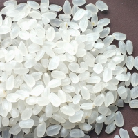 苏鲜生蟹田大米 5KG 粳米 圆粒米 东北米 10斤