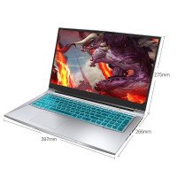 机械革命（MECHREVO）深海泰坦X8 Pro 17.3英寸游戏本赛博朋克定制笔记本电脑（八核i7-10875H 16G 1TB固态 RTX3060 6G独显 高色域144Hz）