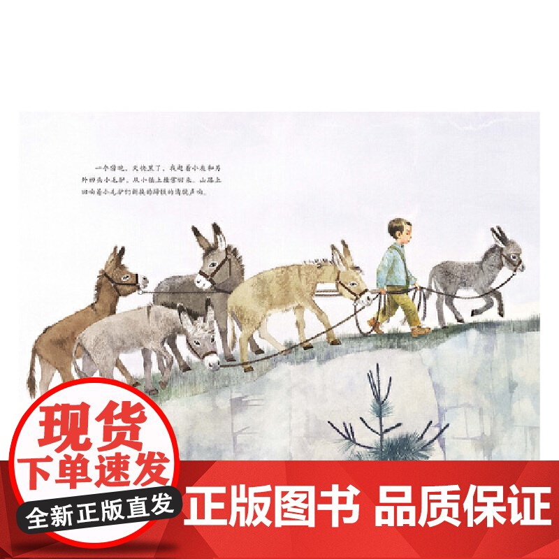 金羽毛·田埂上的童年 我和小灰的田野高清大图