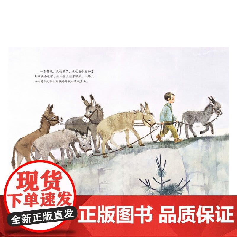 金羽毛·田埂上的童年 我和小灰的田野图片