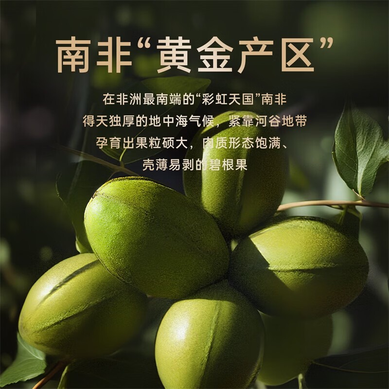 臻味-南非碧根果500g高清大图