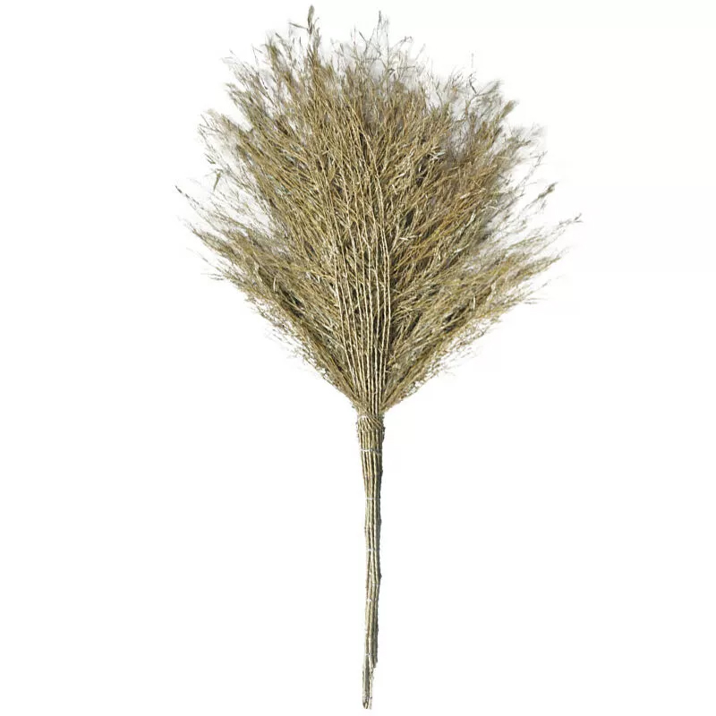 toptzy TZ5091043 竹扫把大扫把老式马路扫帚 4斤高清大图