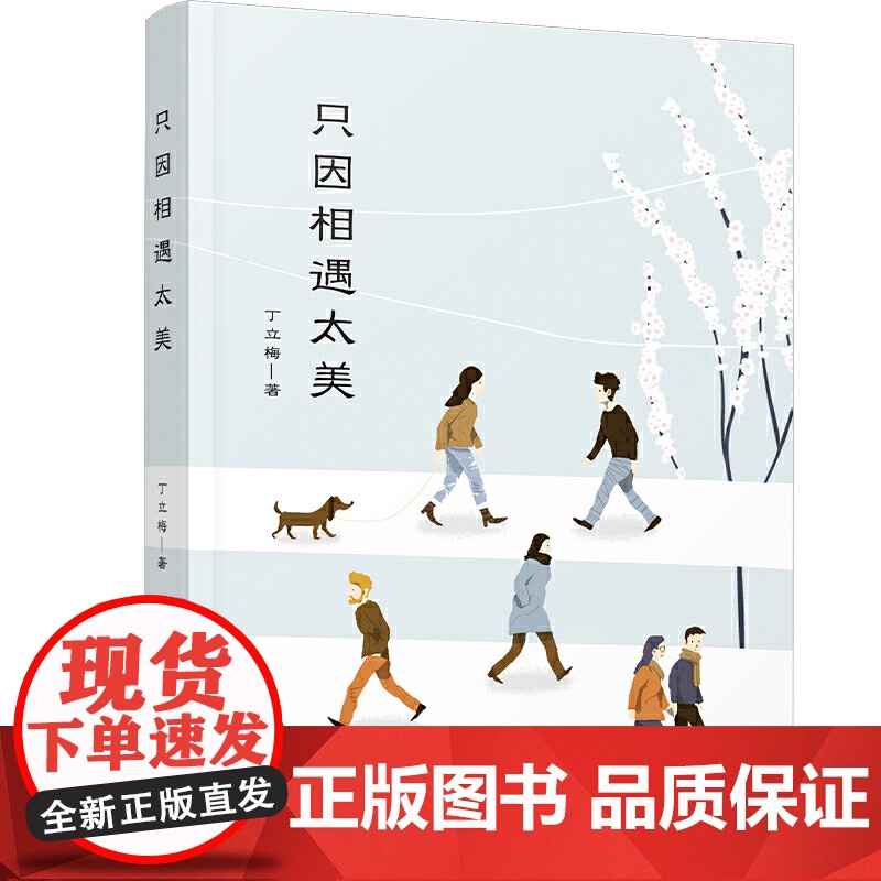 丁立梅散文精选集 套装4册 合欢树下 十亩间 只因相遇太美 低到尘埃的美好 中考语文阅读热点作家 多次入选中考语文试题高清大图
