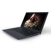 炫龙(shinelon)DC2畅玩版 15.6英寸游戏本学生笔记本电脑(G5400 8GB 1TB GTX1050 4G独显 IPS)