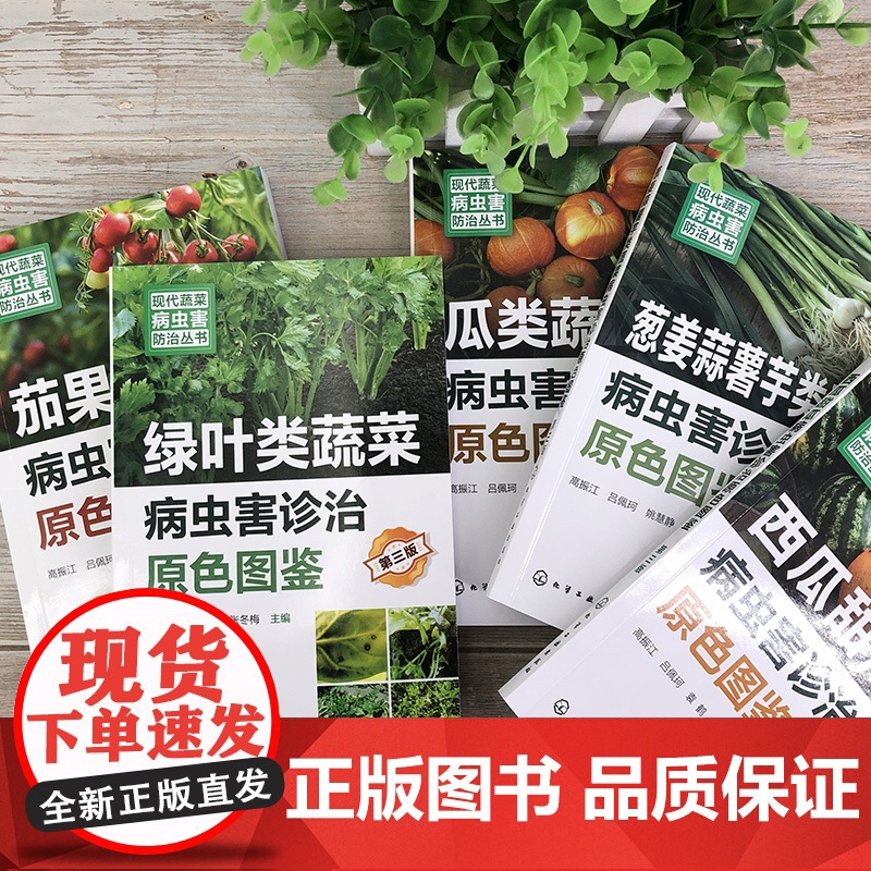 现代蔬菜病虫害防治丛书--西瓜甜瓜病虫害诊治原色图鉴(第三版)9787122450937高清大图