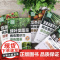 现代蔬菜病虫害防治丛书--西瓜甜瓜病虫害诊治原色图鉴(第三版)9787122450937