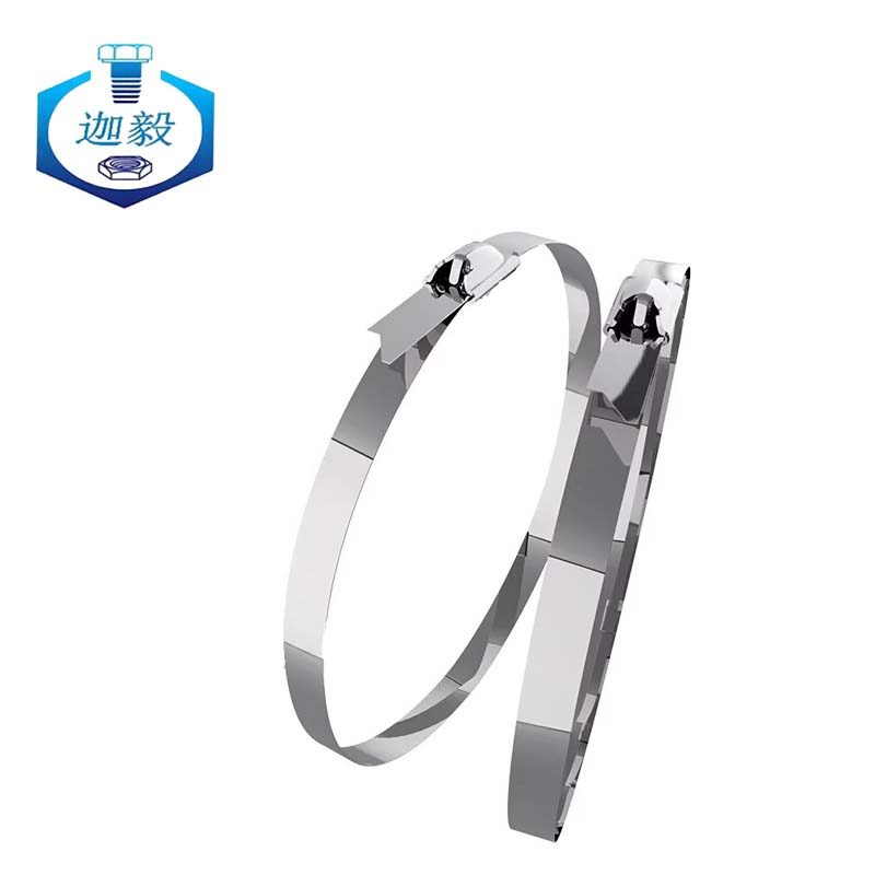 迦毅304不锈钢扎带4.6x250mm根高清大图