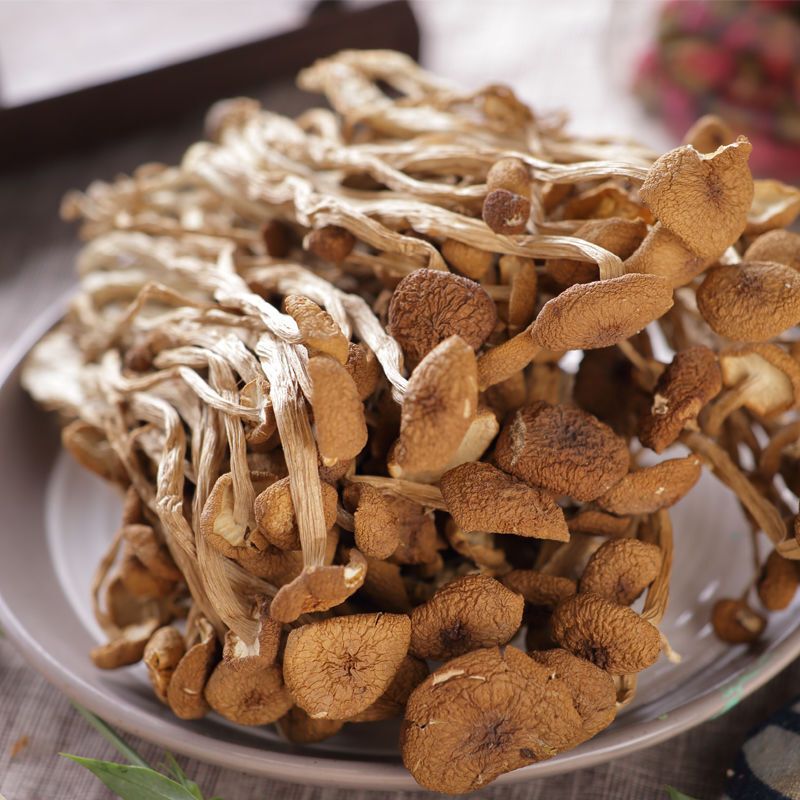 茶树菇 500g