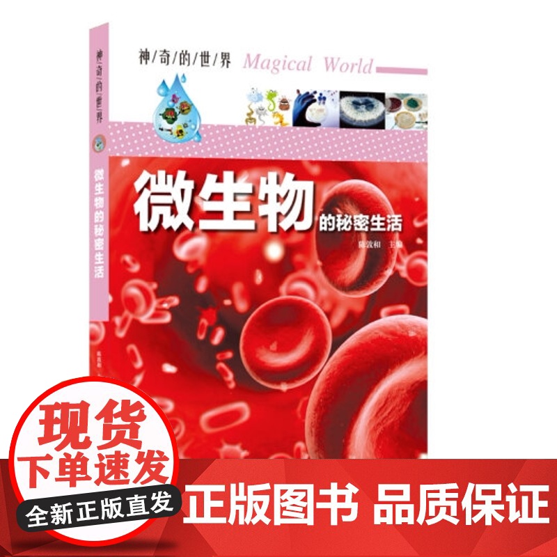 神奇的世界系列全3册 物化生百科大全 微生物的秘密 物理化学秘史 中学生课外阅读物化生百科书籍高清大图