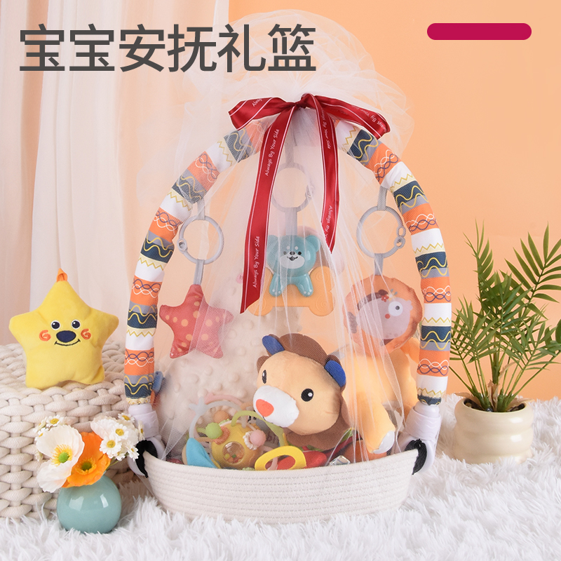 新生的儿满月见面礼物百天01周岁玩具生日礼盒婴幼儿礼篮初生1663
