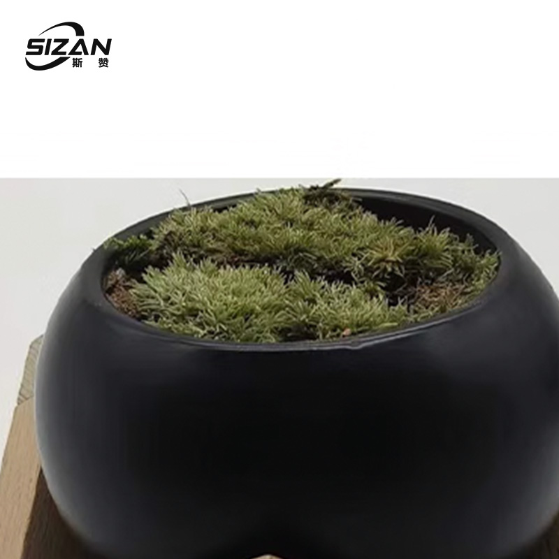 斯赞 个性化花架装架文竹摆件 SZ1022 套高清大图