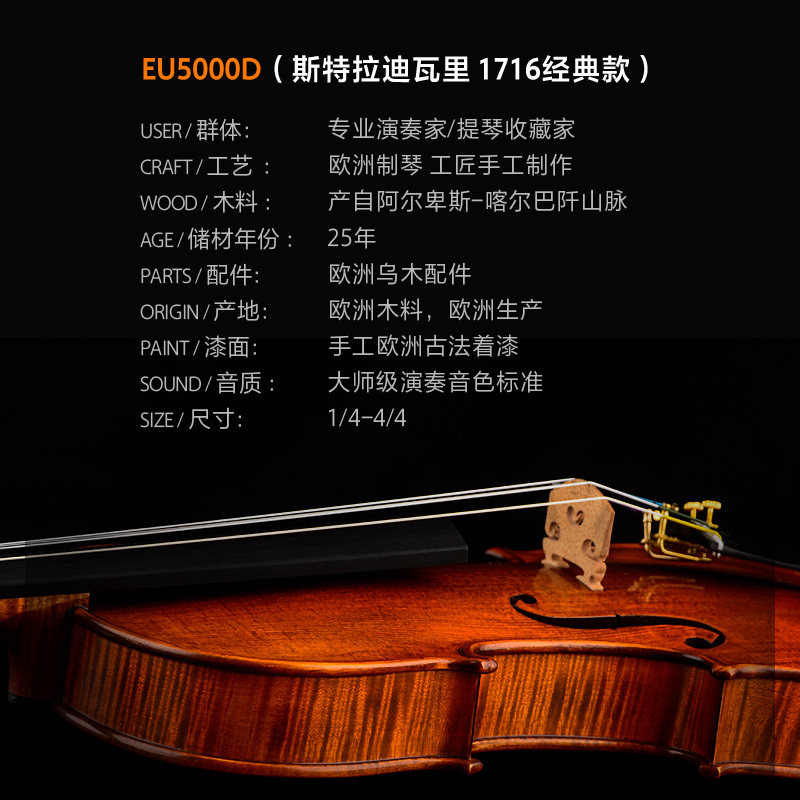 Christina克莉丝蒂娜EU5000D 整板欧洲制作原装进口大师小提琴专业舞台演奏考级收藏整板手工成人乐器