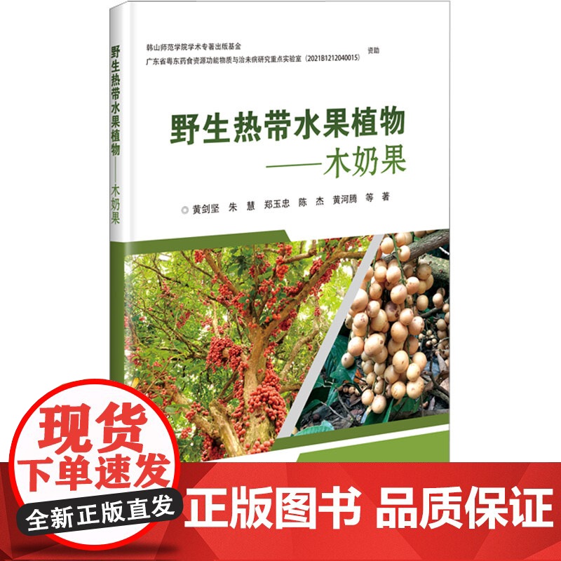 野生热带水果植物木奶果 木奶果的生物学特性 木奶果的应用价值 木奶果的植物群落特征 亚热带森林不同演替阶段的群落特征变高清大图