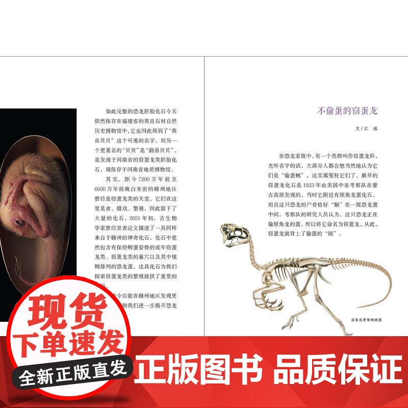 琥珀中的神秘头骨 多样的生命世界·悦读自然少年儿童出版社高清大图