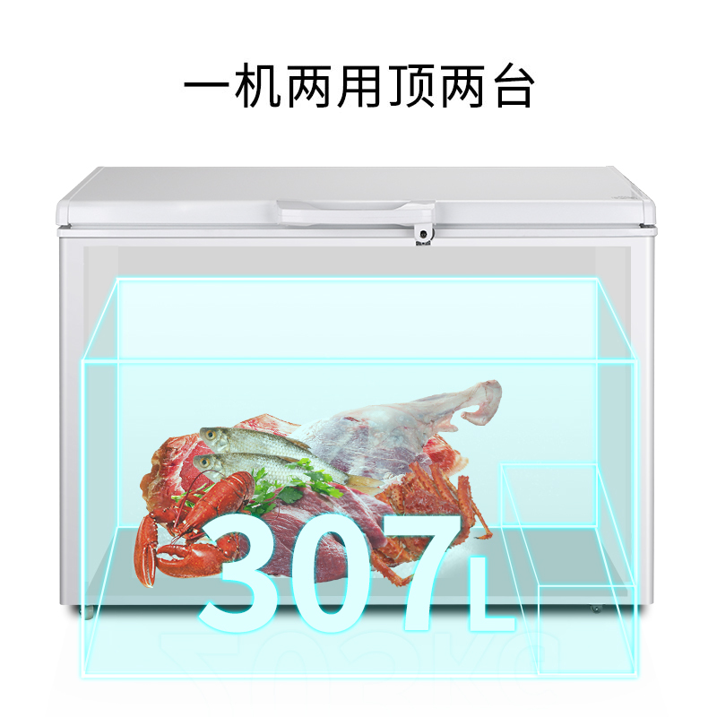 澳柯玛(AUCMA) BC/BD-307HNE,A 307升-26℃度家用商用大容量冷柜饭店后厨冷冻PCM合金内胆